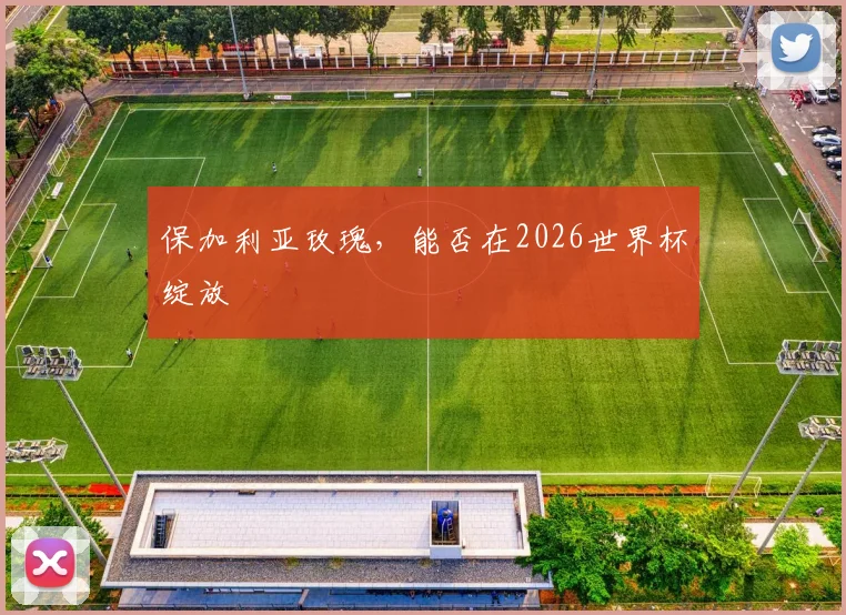保加利亚玫瑰，能否在2026世界杯绽放