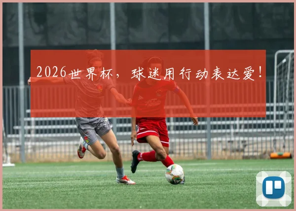 2026世界杯，球迷用行动表达爱！